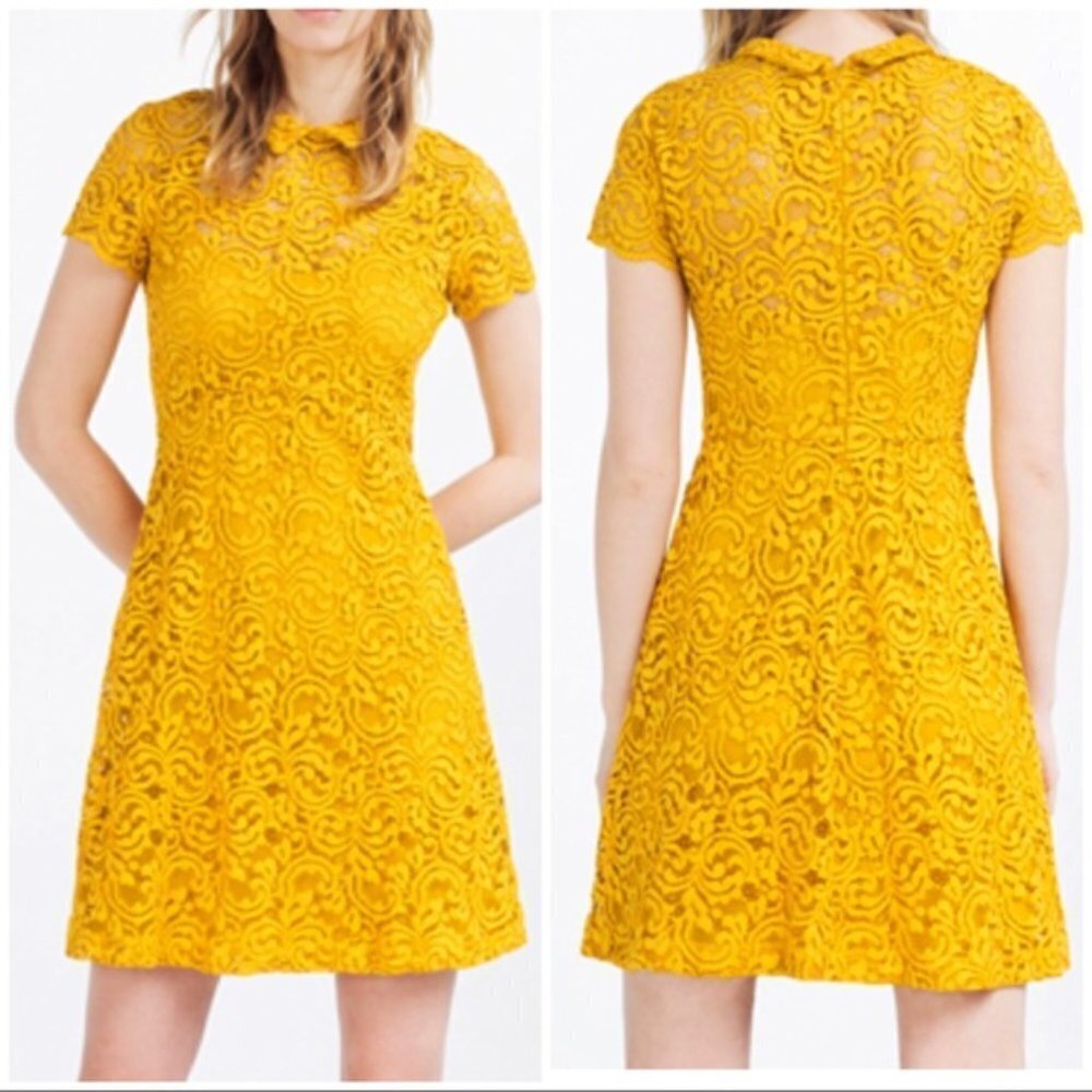 ✅ ZARA BASIC COLLECTION Mustard Yellow Lace Dress WITH PETER PAN COLLAR SIZE MED